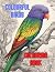 Colourful Birds Colouring B...