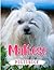 Maltese Photo Book: Wonderf...