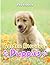 Golden Retriever Puppies Ph...