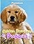 Golden Retriever Puppies Ph...