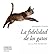 La fidelidad de los gatos