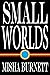 Small Worlds