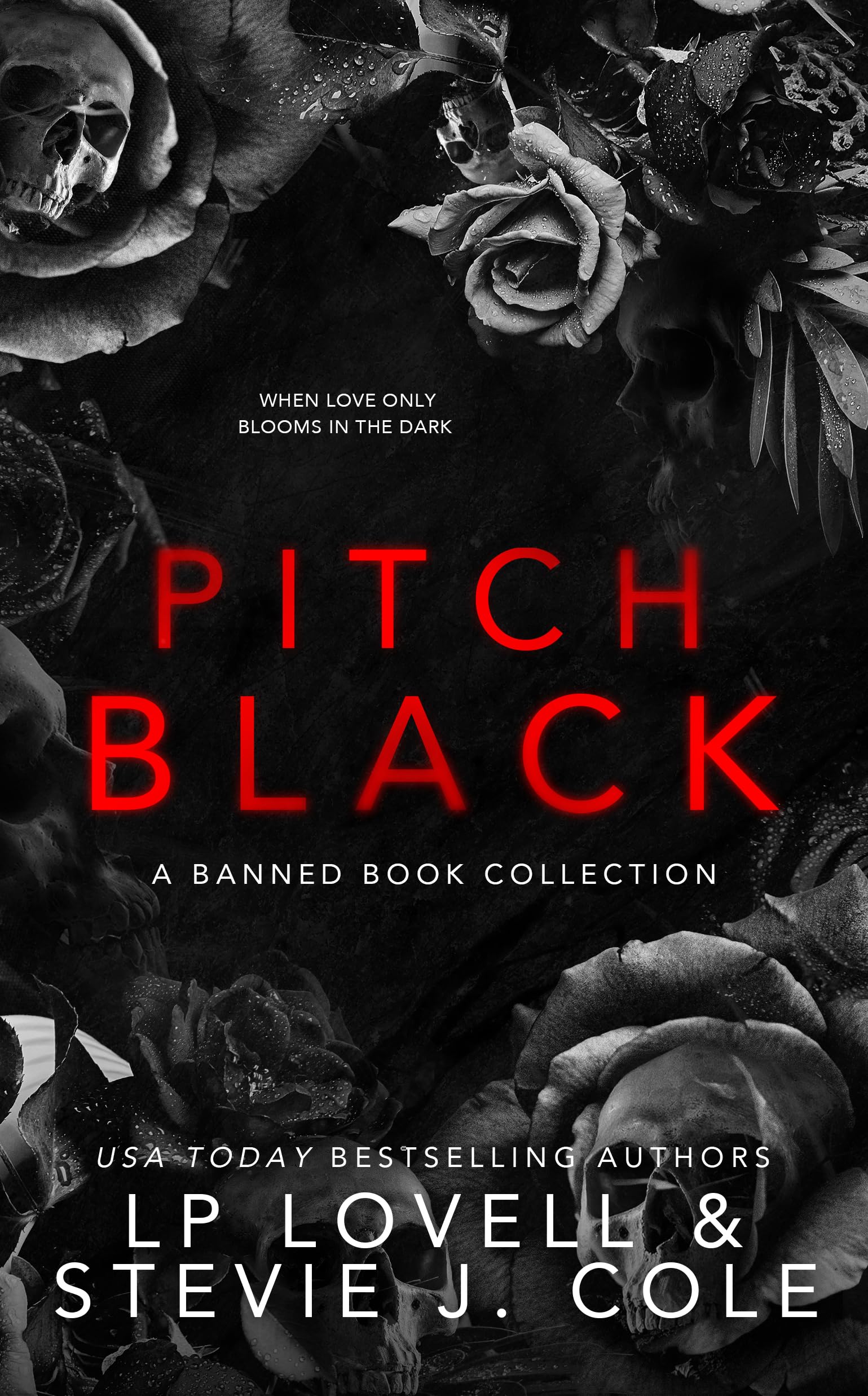 Pitch Black: A Banned Book Collection (Kindle Edition)