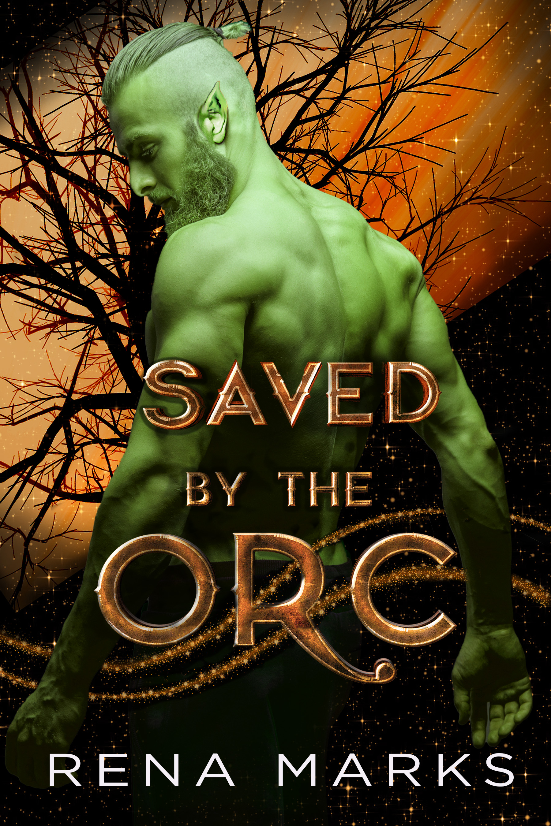 Saved by the Orc (Monster Orc Brides #1)