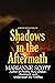 Shadows in the Aftermath (A Draker Series Thriller)