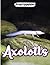 Axolotls Photo Book: Unusua...