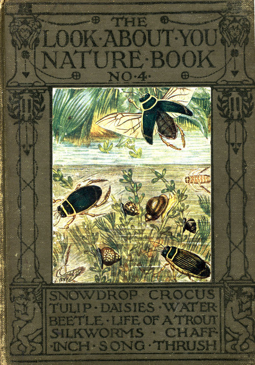 The "Look About You" Nature Book No. 4 [of 7]