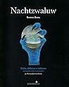 Nachtzwaluw by Rodrigo Barra Villalón