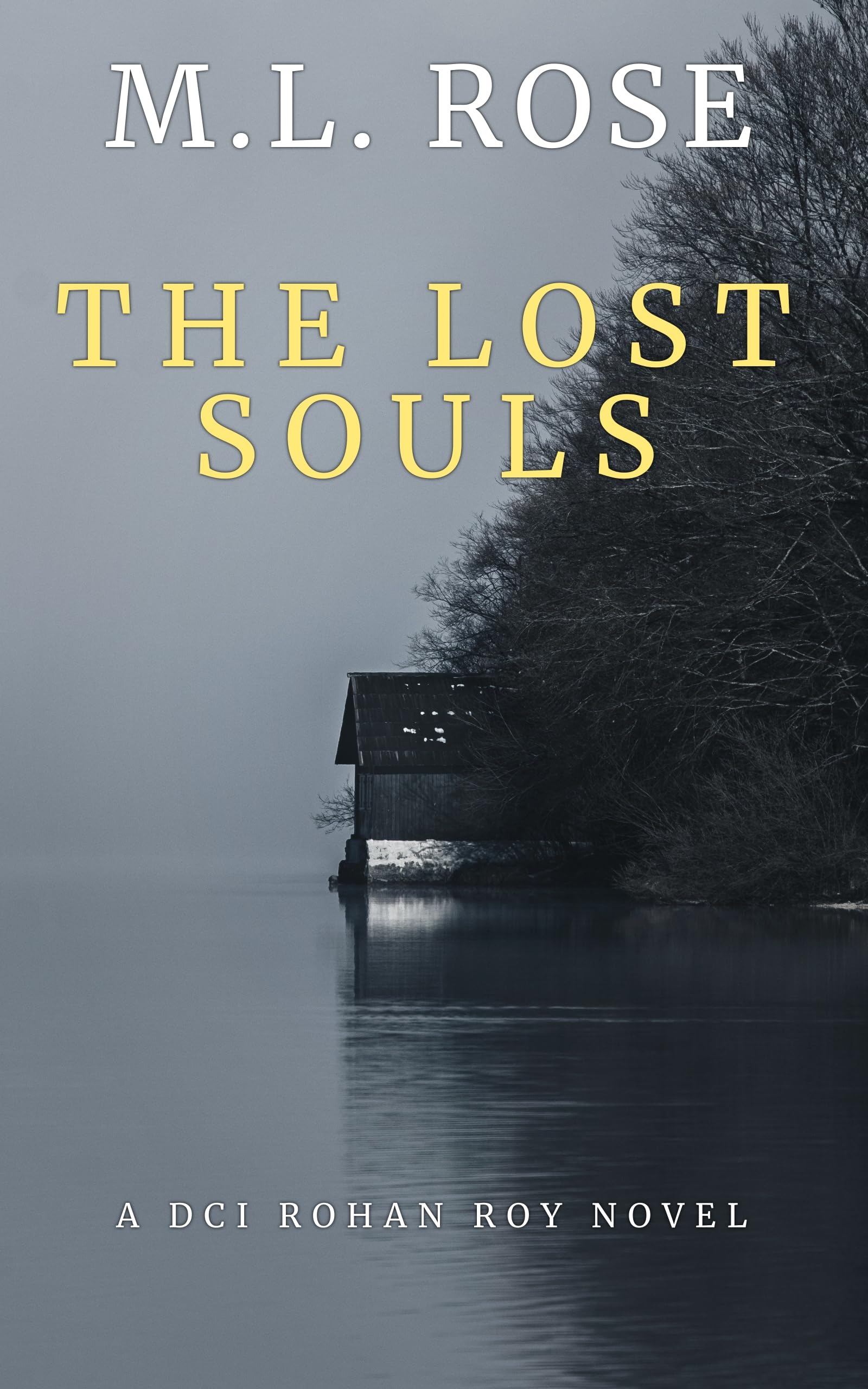 The Lost Souls (DCI Rohan Roy #4)