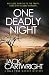 One Deadly Night: A British Murder Mystery (The Wild Fens Murder Mystery Series)