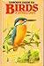 Usborne Guide to Birds of B...