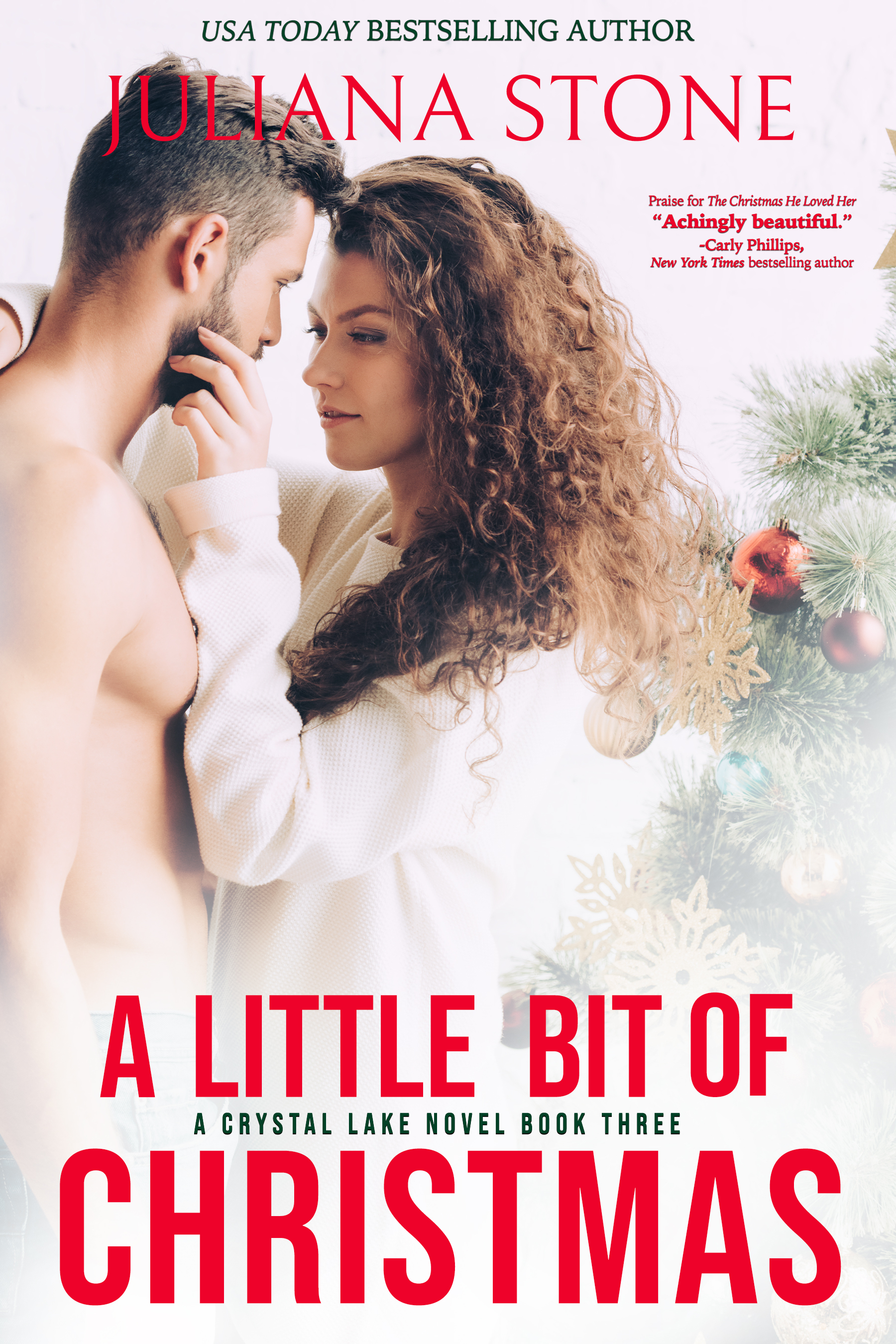 A Little Bit of Christmas (Crystal Lake, #3)