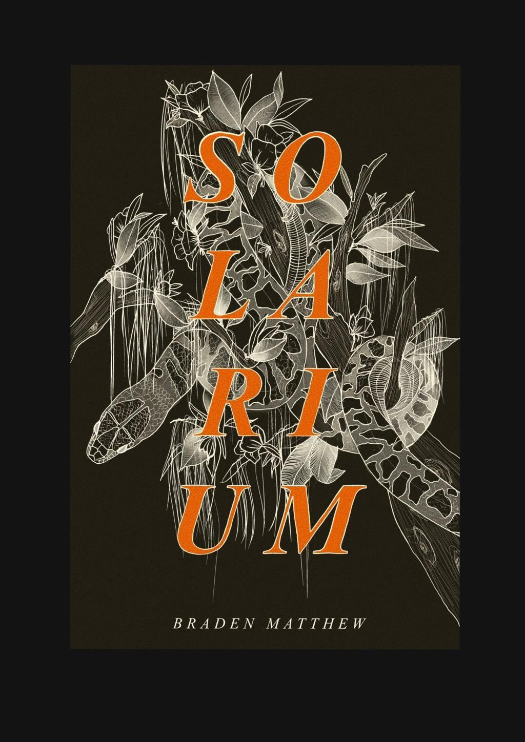 Solarium (Paperback)