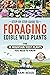 Step-by-Step Guide to Foraging Edible Wild Plants by Kami Kessel