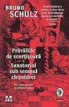 Prăvăliile de scorțișoară. Sanatoriul sub semnul clepsidrei by Bruno Schulz
