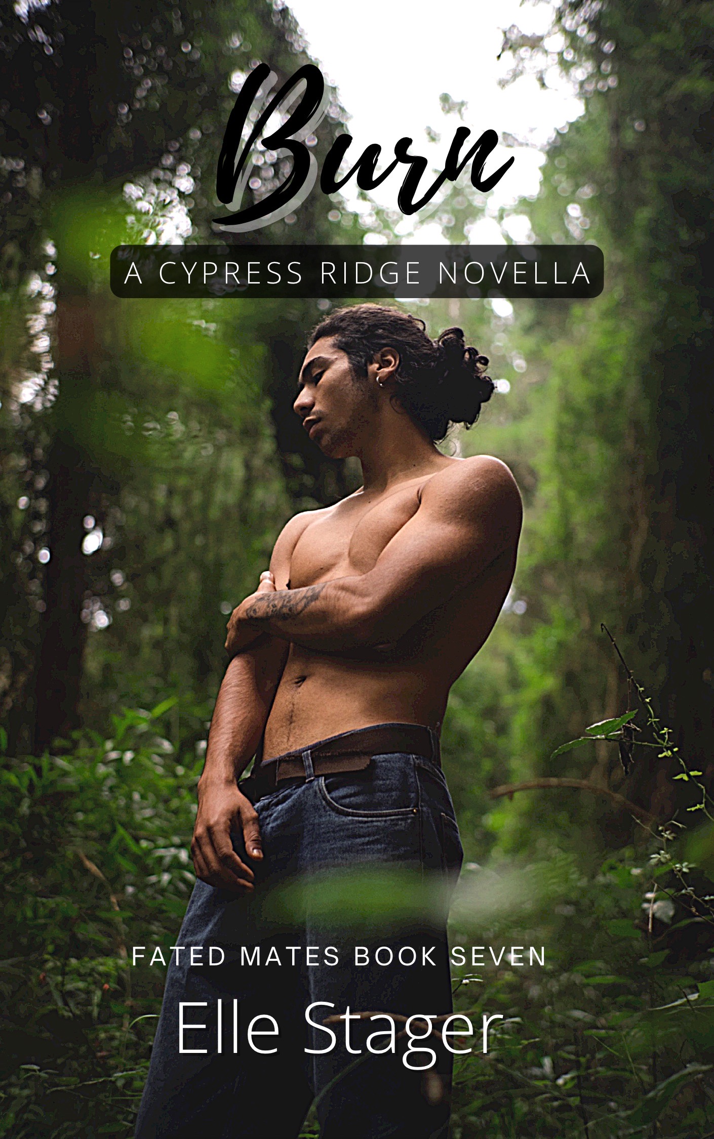 Burn (Cypress Ridge #7)