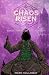 Chaos Risen (The Aspect Volume I)