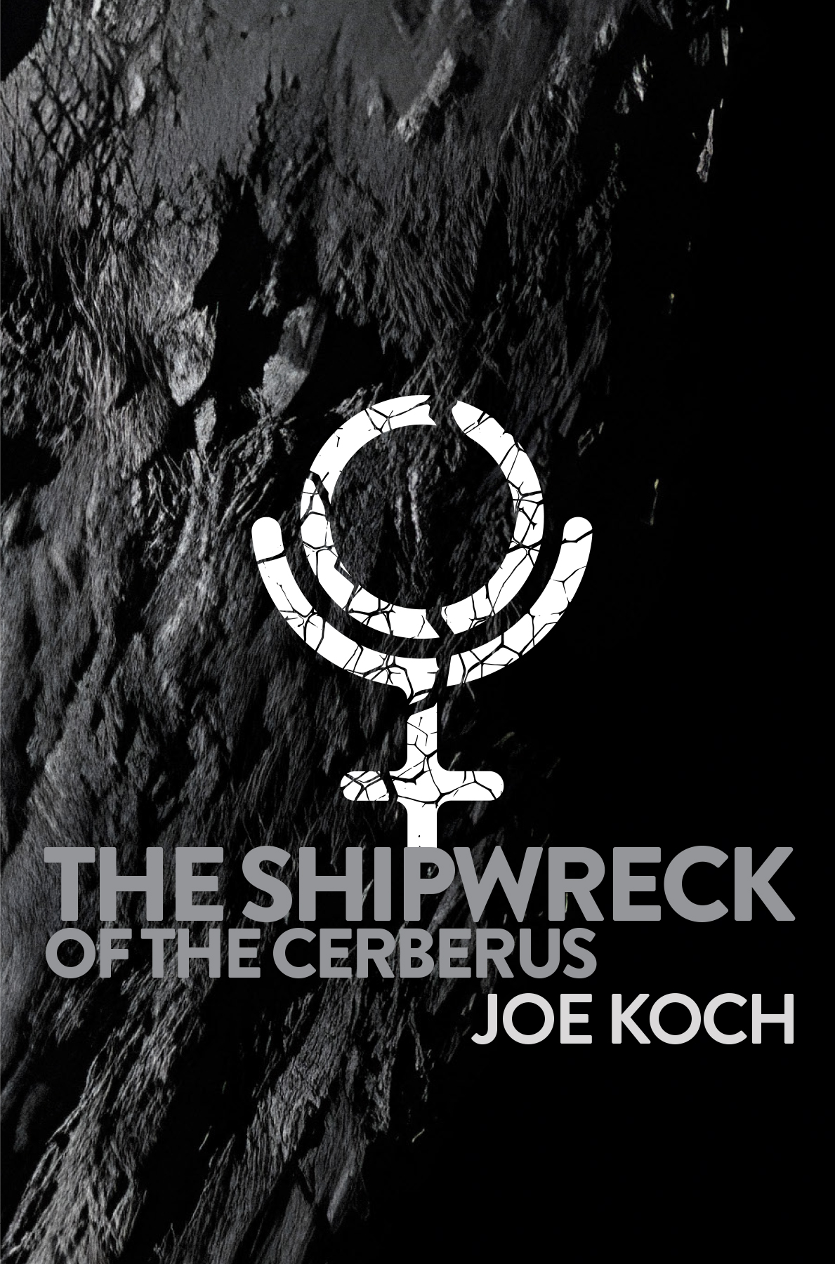 The Shipwreck of the Cerberus (Paperback)