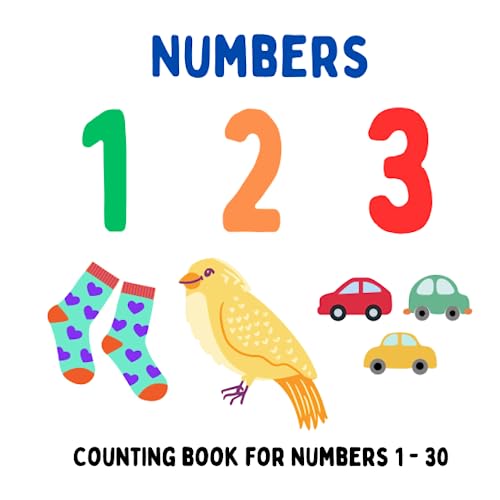 Numbers: Counting Books for Numbers 1 - 30 (Paperback)