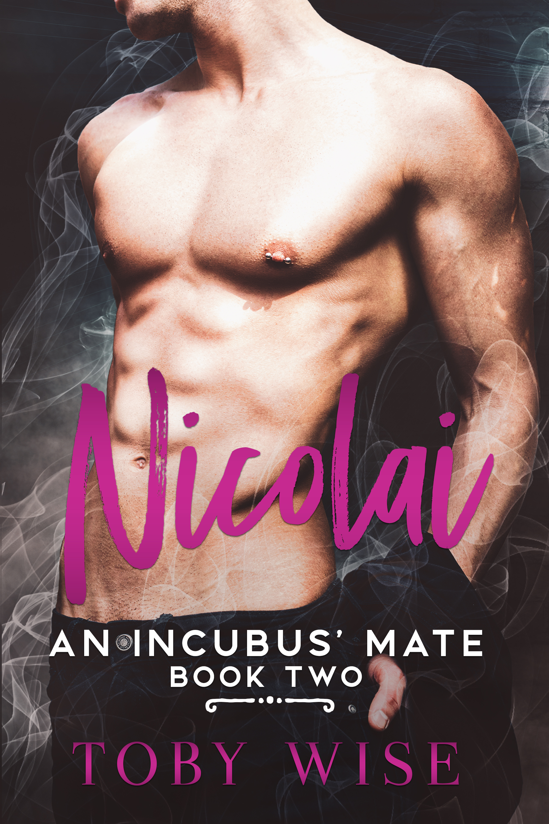 Nicolai (An Incubus' Mate, #2)