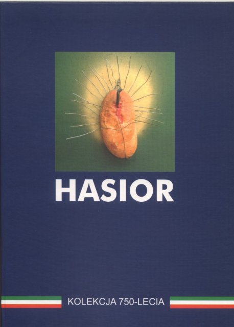 Hasior w zbiorach Miejskiego Ośrodka Sztuki w Gorzowie Wielkopolskim