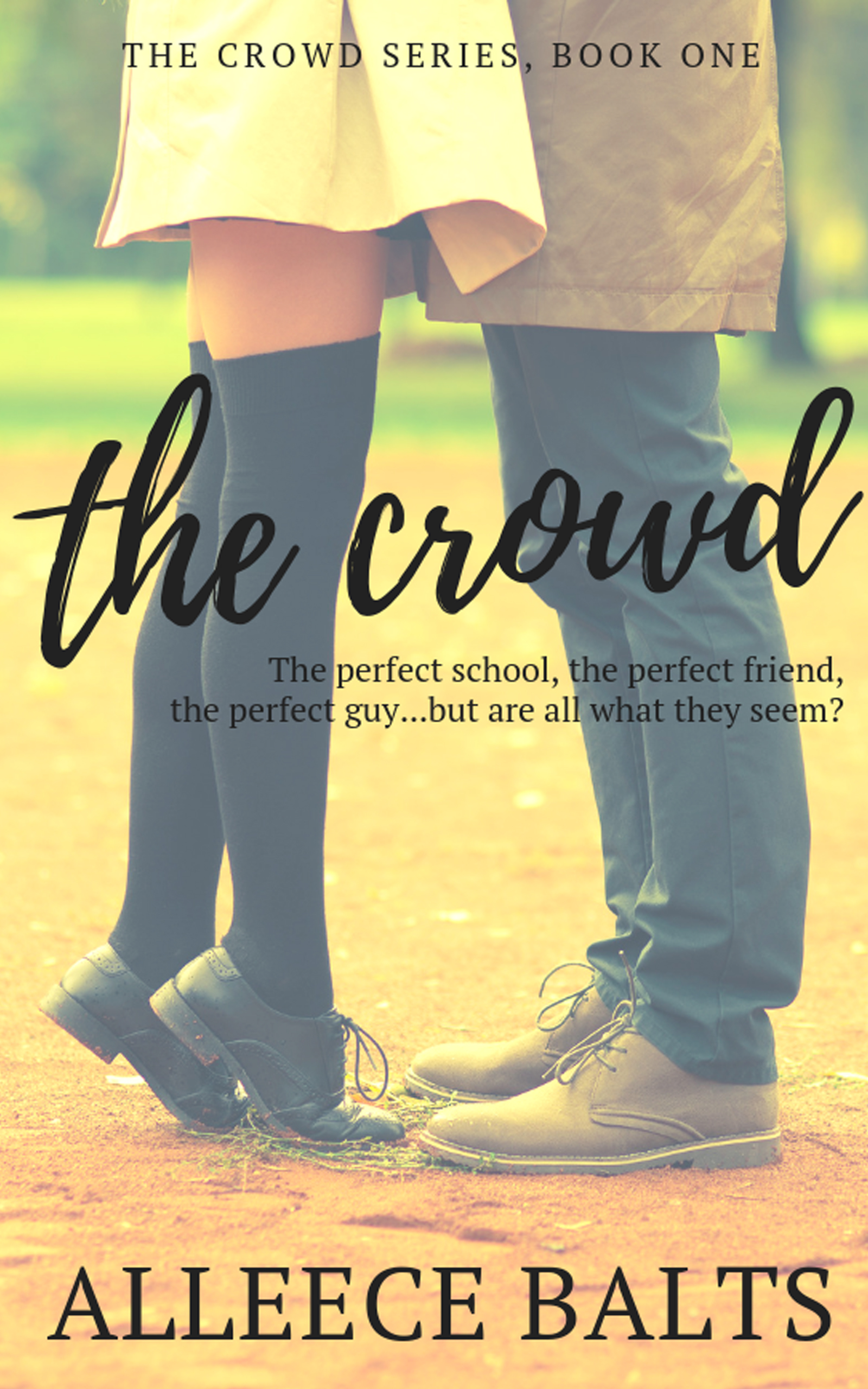 The Crowd: a novel about fitting in and standing out (The Crowd Series, #1)