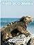 Marine Iguana Photobook: Sa...