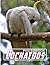 Cockatoos Photobook: Austra...