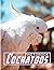 Cockatoos Photobook: Parrot...