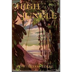 High Jungle