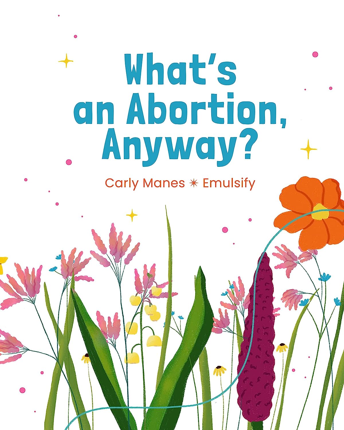 What’s an Abortion, Anyway? (Hardcover)