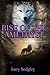 Rise of the Amethyst