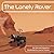 The Lonely Rover