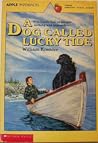 A Dog Called Lucky Tide