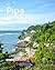 Pipa (Alexandre Siqueira, S...