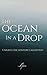 The Ocean in a Drop by Avi Raa