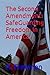 The Second Amendment: SafeG...