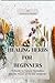 Healing Herbs for Beginners: "A Guide to Natural Remedies and the Power of Herbal Medicine"