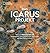 Das ICARUS Projekt: Wie wir...