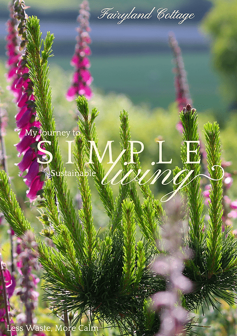 My Journey to Simple, Sustainable Living (ebook)