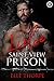 Saint View Prison - Liebe (German Edition)
