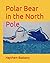 Polar Bear in the North Pole