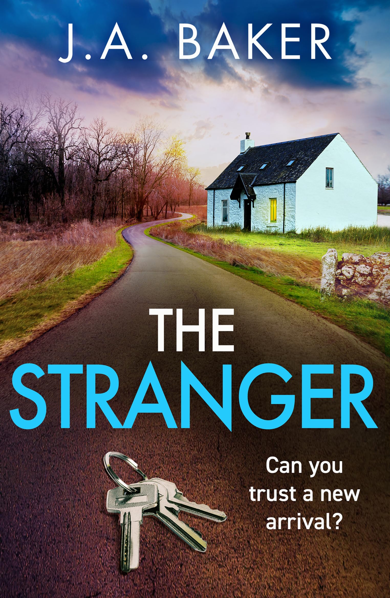 The Stranger (Kindle Edition)