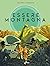 Essere Montagna (Italian Edition)