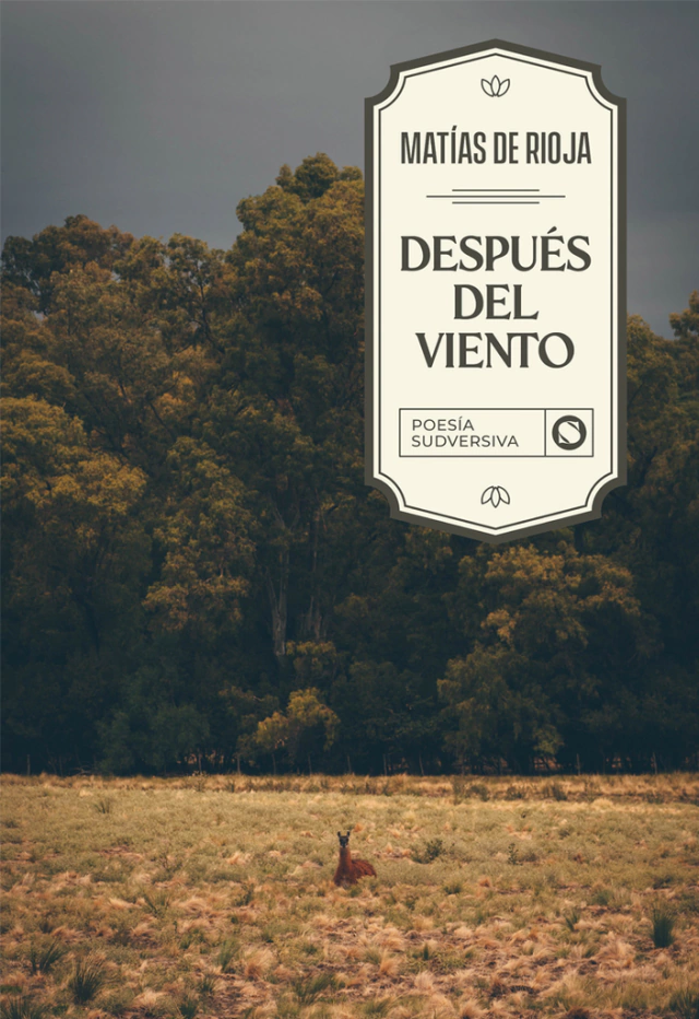 Después del viento (Paperback)
