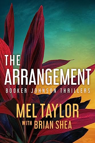 The Arrangement (Booker Johnson, #2)