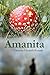 Amanita by Christian Brunner