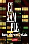 EIXAMPLE by Rosa García Calleja