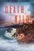 Death in Hilo (Kawika Wong Mystery, #2)