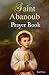 Saint Abanoub Prayer Book (...